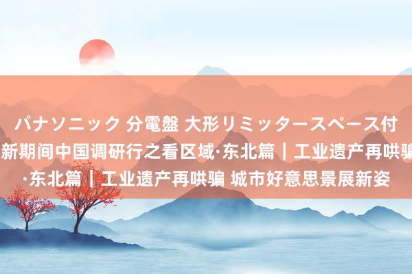 パナソニック 分電盤 大形リミッタースペース付 露出・半埋込両用形 新期间中国调研行之看区域·东北篇｜工业遗产再哄骗 城市好意思景展新姿