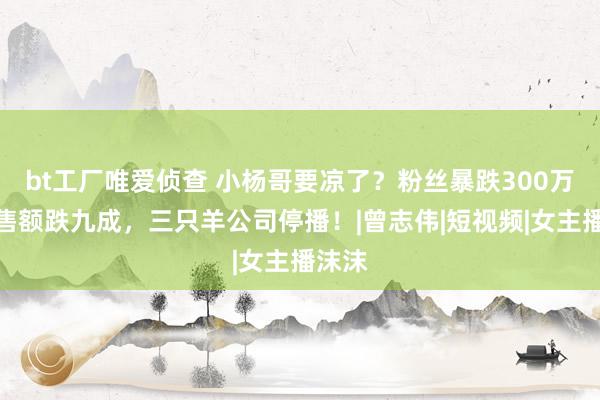 bt工厂唯爱侦查 小杨哥要凉了？粉丝暴跌300万，销售额跌九成，三只羊公司停播！|曾志伟|短视频|女主播沫沫