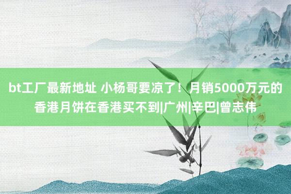 bt工厂最新地址 小杨哥要凉了！月销5000万元的香港月饼在香港买不到|广州|辛巴|曾志伟