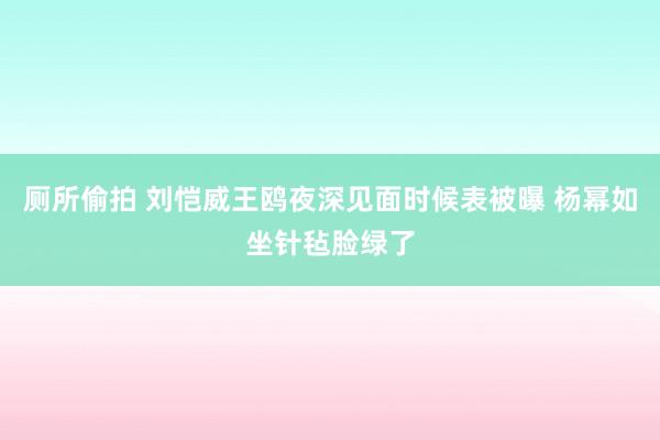 厕所偷拍 刘恺威王鸥夜深见面时候表被曝 杨幂如坐针毡脸绿了