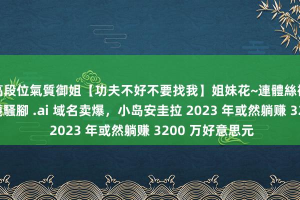 高段位氣質御姐【功夫不好不要找我】姐妹花~連體絲襪~大奶晃動~絲襪騷腳 .ai 域名卖爆，小岛安圭拉 2023 年或然躺赚 3200 万好意思元