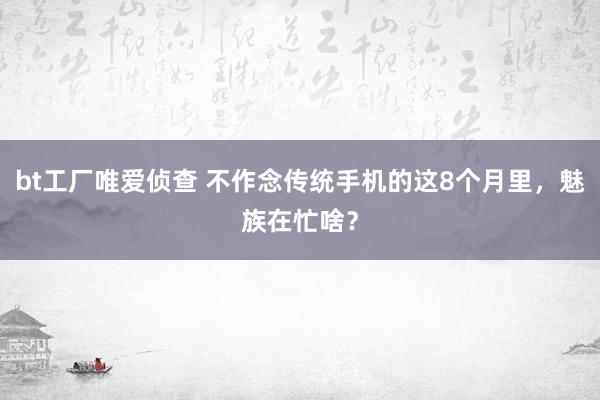 bt工厂唯爱侦查 不作念传统手机的这8个月里，魅族在忙啥？