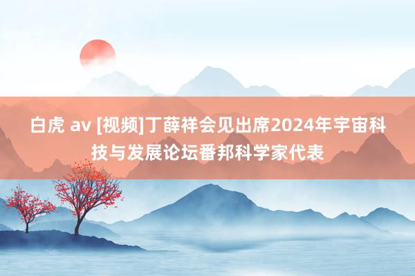 白虎 av [视频]丁薛祥会见出席2024年宇宙科技与发展论坛番邦科学家代表