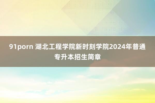 91porn 湖北工程学院新时刻学院2024年普通专升本招生简章