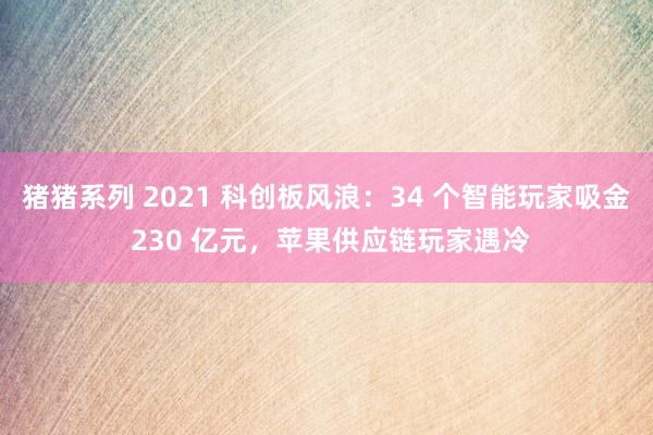 猪猪系列 2021 科创板风浪：34 个智能玩家吸金 230 亿元，苹果供应链玩家遇冷