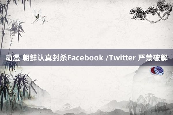 动漫 朝鲜认真封杀Facebook /Twitter 严禁破解