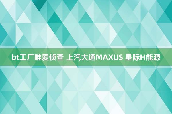 bt工厂唯爱侦查 上汽大通MAXUS 星际H能源