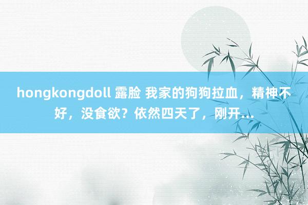 hongkongdoll 露脸 我家的狗狗拉血，精神不好，没食欲？依然四天了，刚开...