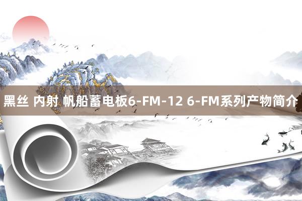 黑丝 内射 帆船蓄电板6-FM-12 6-FM系列产物简介